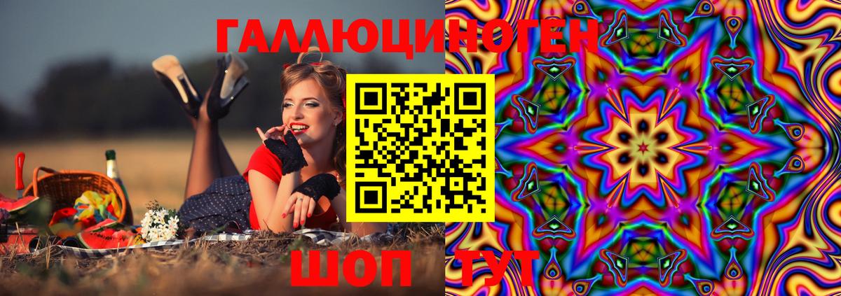 Электрогорск  Галлюциногенные грибы GOLDEN TEACHER  Вход с VPN  Галлюциногенные грибы мухоморы 